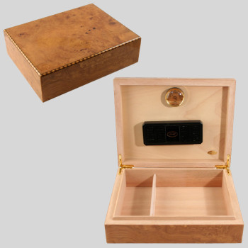 Humidor Olive 100