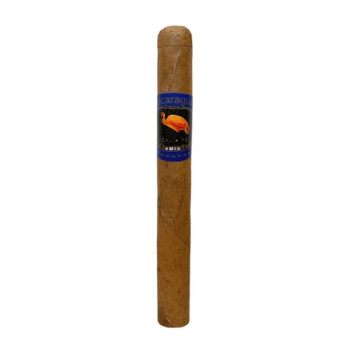 Ibis Petit Small Corona Nicaragua 1/10 - 2
