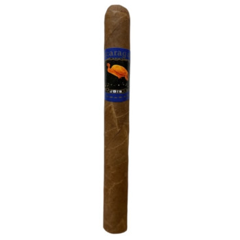 Ibis Corona Nicaragua 1/10 - 2