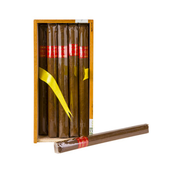 Condega F Lancero 1/10