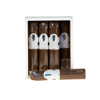 Gilbert de Montsalvat Signature Short Robusto 1/12 - 1