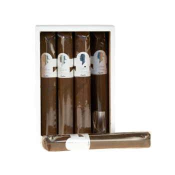 Gilbert de Montsalvat Signature Gran Robusto 1/12