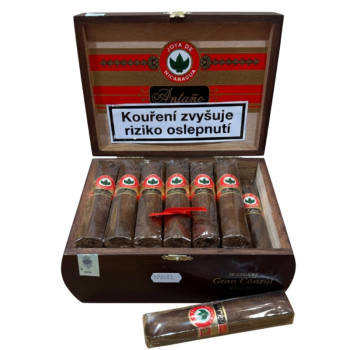 Joya de Nicaragua Antano Gran Consul 1/20