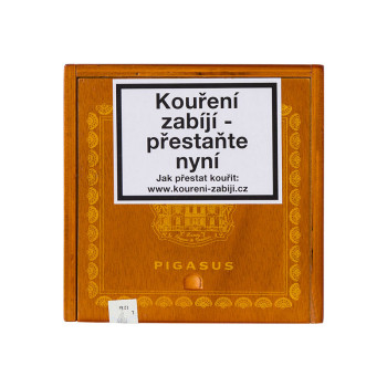 Villa Casdagli Pigasus  1/12 - 2