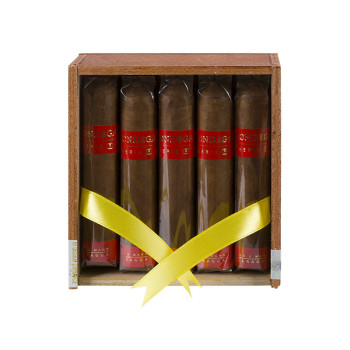 Condega Mini Titan 1/10