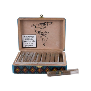 TCN Traveler America Robusto 1/20